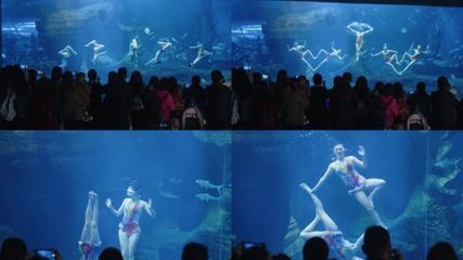 祥龍水族館人魚表演時間表：祥龍水族館人魚表演 祥龍水族館人魚表演時間表：祥龍水族館人魚表演 龍魚百科 第3張