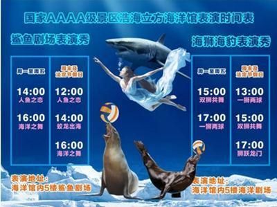 祥龍水族館人魚表演時間表：祥龍水族館人魚表演 祥龍水族館人魚表演時間表：祥龍水族館人魚表演 龍魚百科 第5張