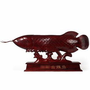 金龍魚擺件擺放忌諱破解：招財金龍擺放禁忌