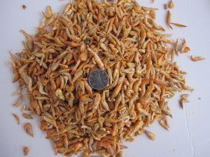 龍魚飼料排行榜第一名是誰（2024年龍魚飼料品牌排名） 龍魚飼料排行榜第一名是誰（2024年龍魚飼料品牌排名） 龍魚百科 第5張