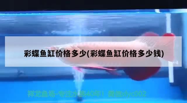 金龍魚最佳混養(yǎng)魚視頻播放大全：金龍魚混養(yǎng)視頻高清 金龍魚最佳混養(yǎng)魚視頻播放大全：金龍魚混養(yǎng)視頻高清 龍魚百科 第1張