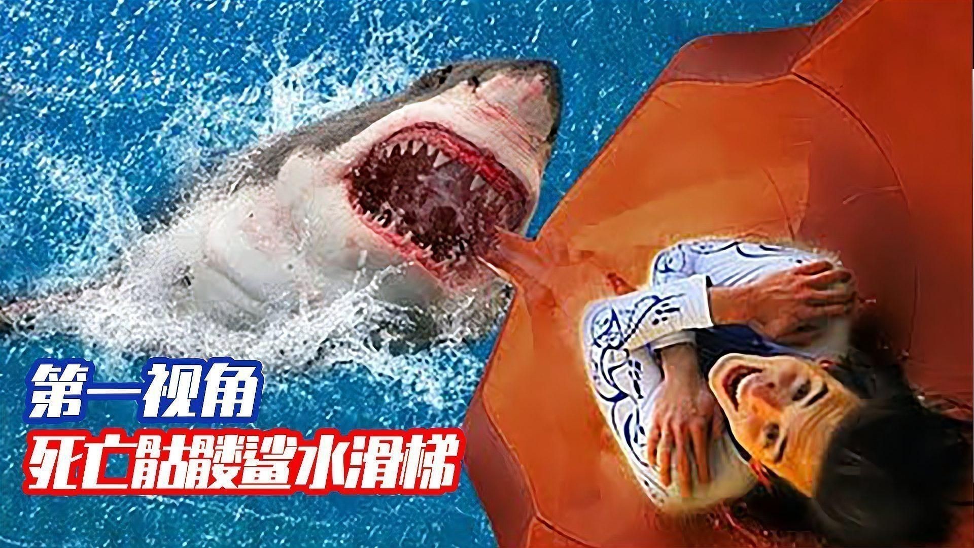 骷髏鯊
