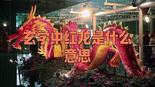紅龍在中國文化中有哪些傳統故事？