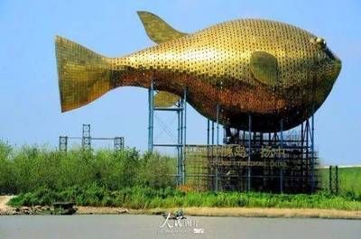 巨型金龍魚和虎鯨哪個厲害：探討虎鯨與巨型金龍魚的戰斗力時需要考慮多個因素