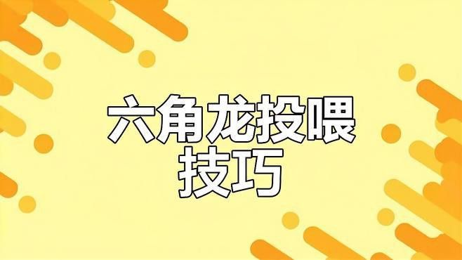 如何預(yù)防六角龍疾病