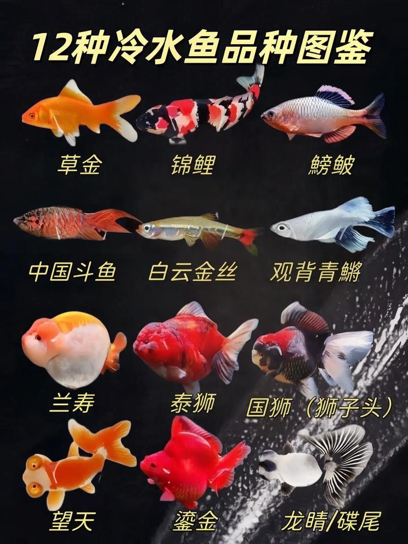 冷水魚大全品種圖片