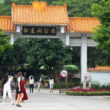 鯉魚嘴能當作飛機懷嗎