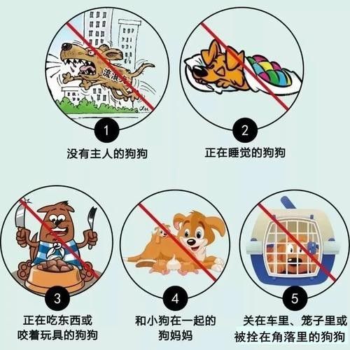 魚缸水綠了怎么解決，魚缸水質維護的日常技巧魚缸清道夫品種及飼養指南 魚缸水綠了怎么解決，魚缸水質維護的日常技巧魚缸清道夫品種及飼養指南 龍魚百科 第10張