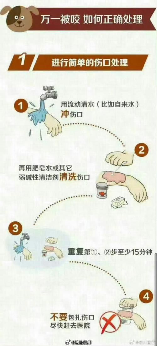 魚缸水綠了怎么解決，魚缸水質維護的日常技巧魚缸清道夫品種及飼養指南 魚缸水綠了怎么解決，魚缸水質維護的日常技巧魚缸清道夫品種及飼養指南 龍魚百科 第7張