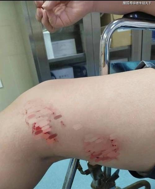 魚缸水綠了怎么解決，魚缸水質維護的日常技巧魚缸清道夫品種及飼養指南 魚缸水綠了怎么解決，魚缸水質維護的日常技巧魚缸清道夫品種及飼養指南 龍魚百科 第9張