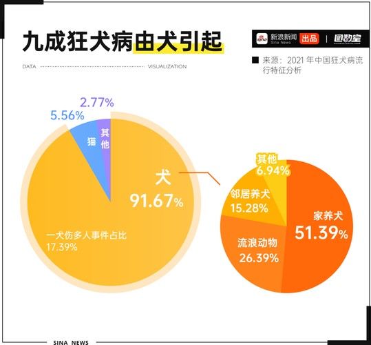 魚缸水綠了怎么解決，魚缸水質維護的日常技巧魚缸清道夫品種及飼養指南 魚缸水綠了怎么解決，魚缸水質維護的日常技巧魚缸清道夫品種及飼養指南 龍魚百科 第5張