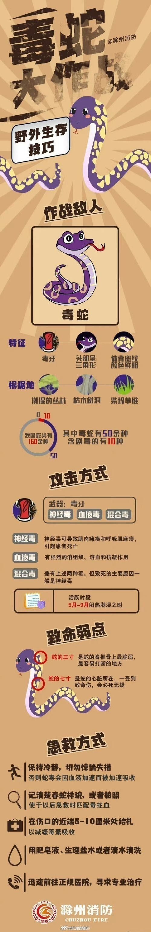 魚缸水綠了怎么解決，魚缸水質維護的日常技巧魚缸清道夫品種及飼養指南 魚缸水綠了怎么解決，魚缸水質維護的日常技巧魚缸清道夫品種及飼養指南 龍魚百科 第6張
