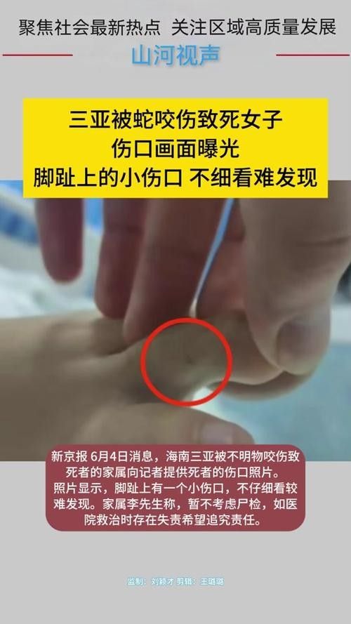 魚缸水綠了怎么解決，魚缸水質維護的日常技巧魚缸清道夫品種及飼養指南 魚缸水綠了怎么解決，魚缸水質維護的日常技巧魚缸清道夫品種及飼養指南 龍魚百科 第8張