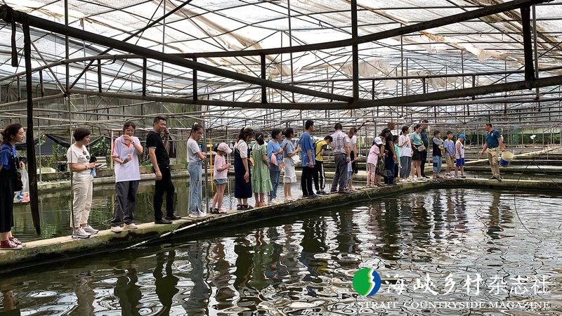 漳州龍魚繁殖基地在哪兒有 漳州龍魚繁殖基地在哪兒有 龍魚百科 第2張