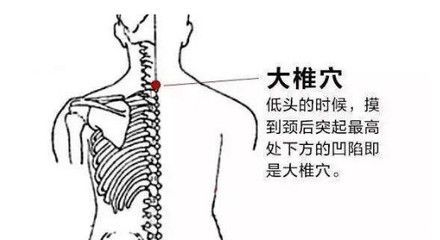 龍魚頭朝下尾巴朝上怎么治：龍魚頭朝下尾巴朝上怎么辦 龍魚頭朝下尾巴朝上怎么治：龍魚頭朝下尾巴朝上怎么辦 龍魚百科 第2張