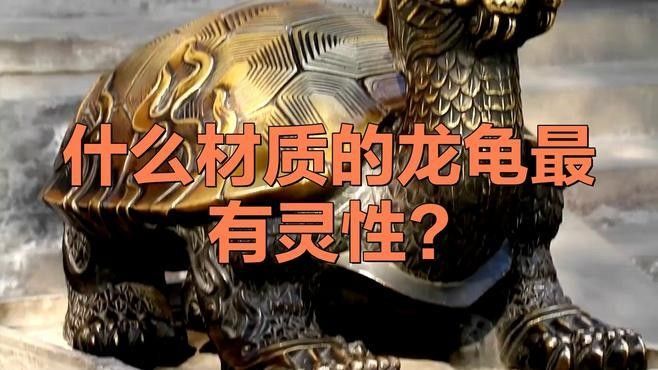 龍龜有哪些材質可選
