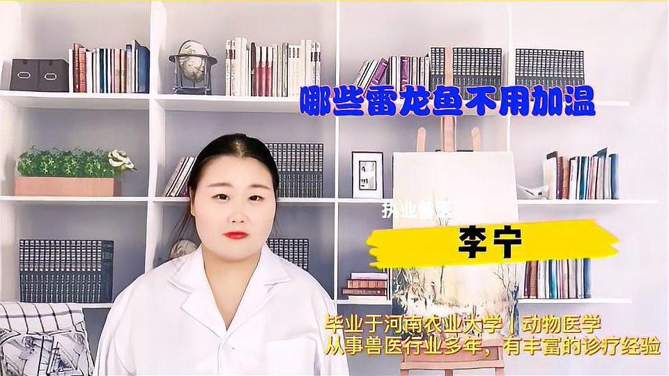 什么雷龍魚不用加溫養