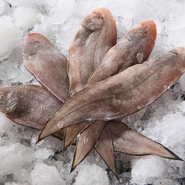 龍利魚旗艦店