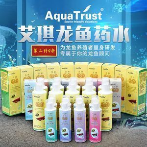 紅龍魚炸鱗怎么辦：紅龍魚炸鱗是一種常見的問題，紅龍魚炸鱗的急救措施