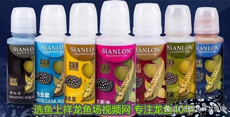龍魚交叉感染怎么治療