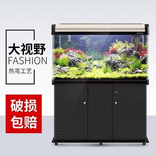 龍魚缸多少錢一盆好