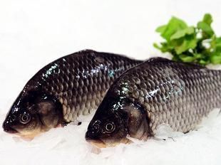 龍魚中的大湖魚是什么意思啊：大湖魚的市場價格如何？