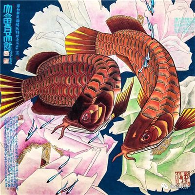 畫金龍魚的畫家是誰（中國畫金龍魚技法第一人劉千碩劉千碩作品欣賞）