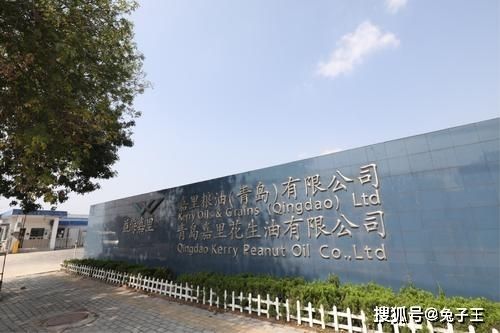 金龍魚是國產品牌嗎