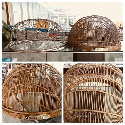 如何挑選健康雙線側魚苗：如何挑選健康的雙線側魚苗