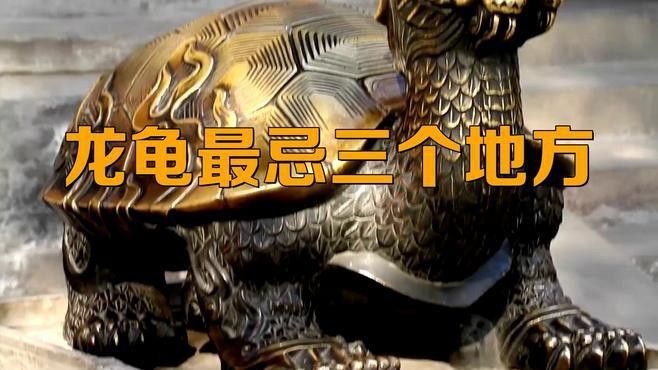 龍龜擺放有哪些禁忌？