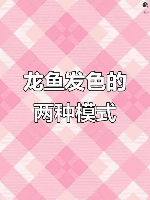 龍魚混養影響發色嗎圖片欣賞