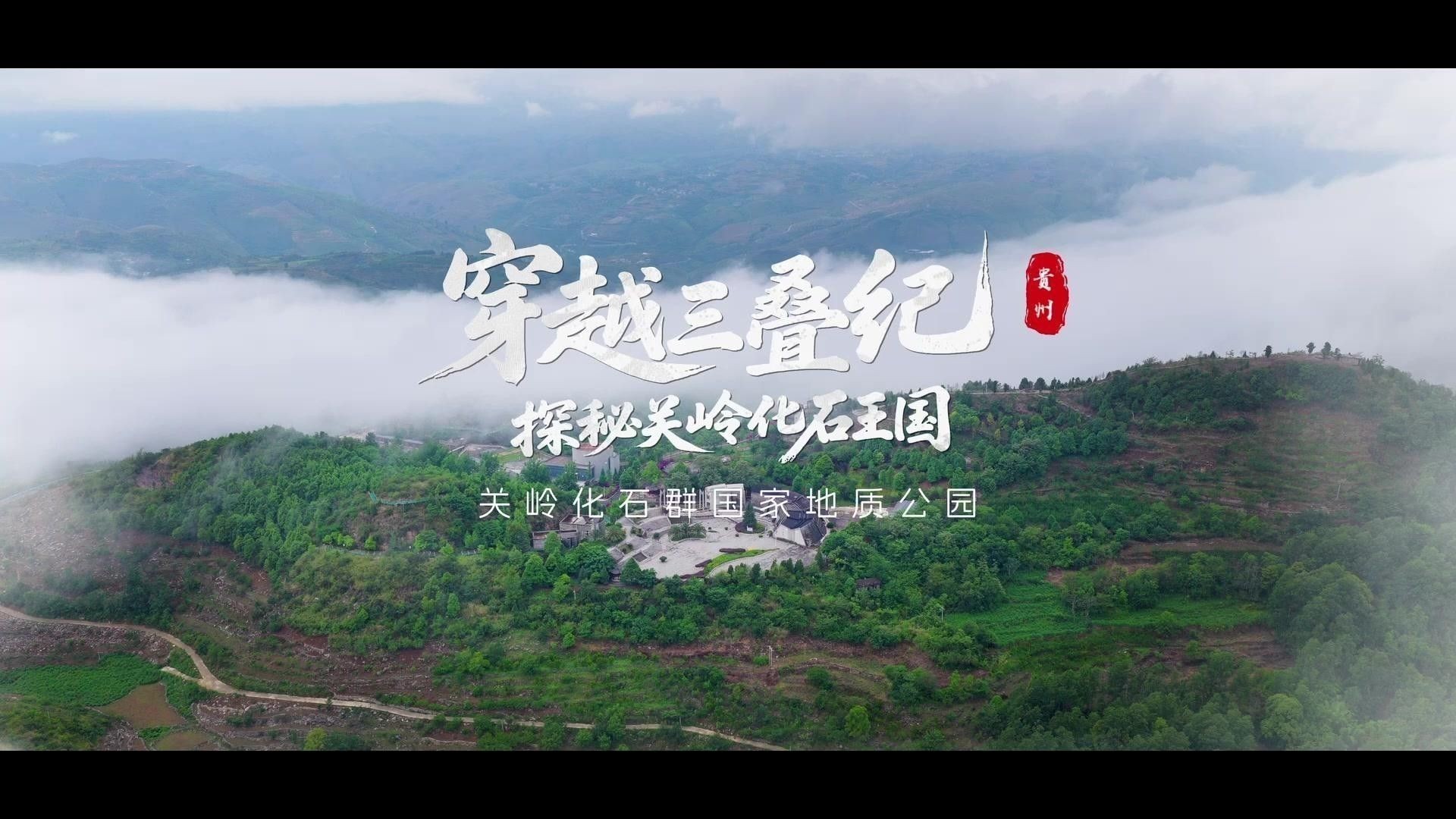 龍魚化石圖片大全高清