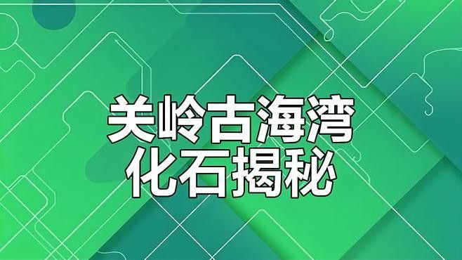 龍魚化石圖片大全高清