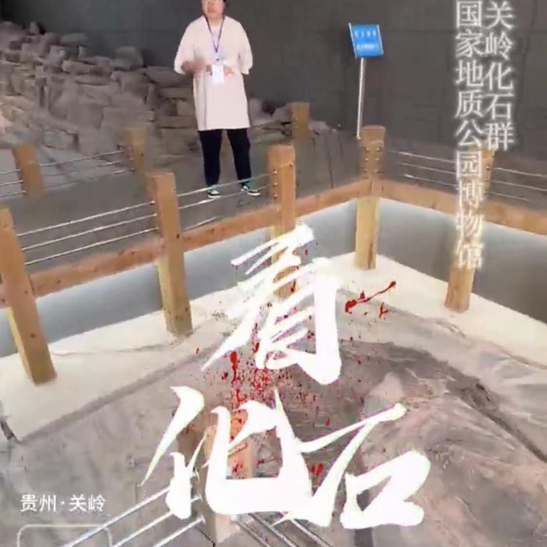 龍魚化石圖片大全高清