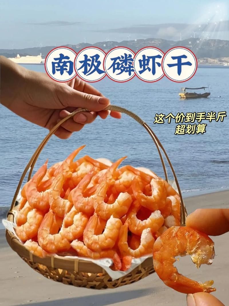 銀龍魚吃什么發色最好看