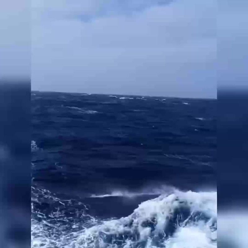 銀龍魚吃什么發色最好看