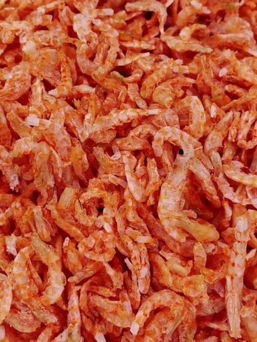 銀龍魚吃什么發色最好看