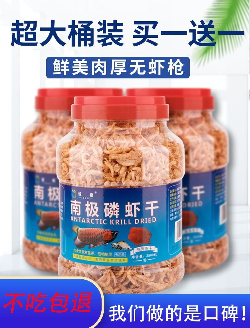 銀龍魚吃什么發色最好看