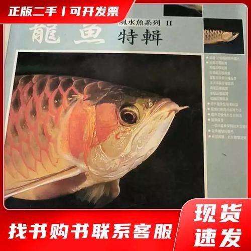 龍魚圖片及價格大全