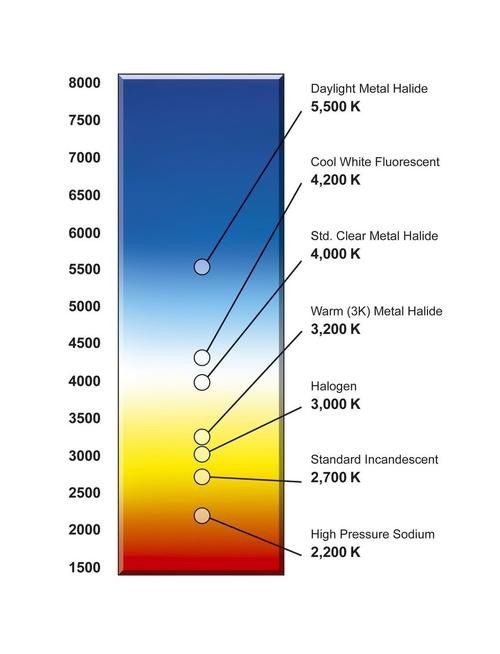 龍魚燈6700k和10000k好
