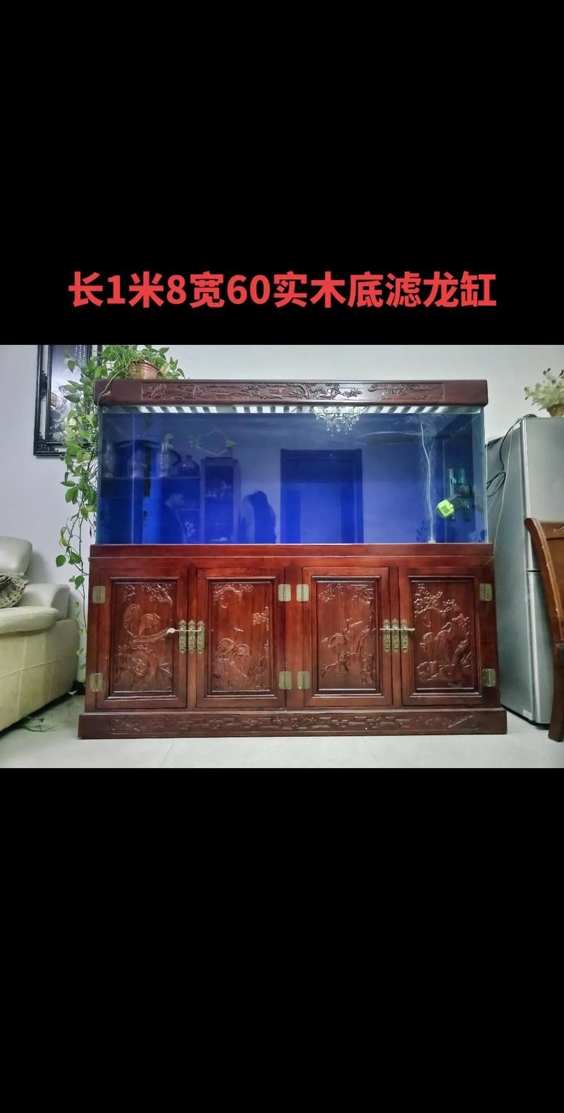 龍魚缸擺放位置圖解 龍魚缸擺放位置圖解 龍魚百科 第9張