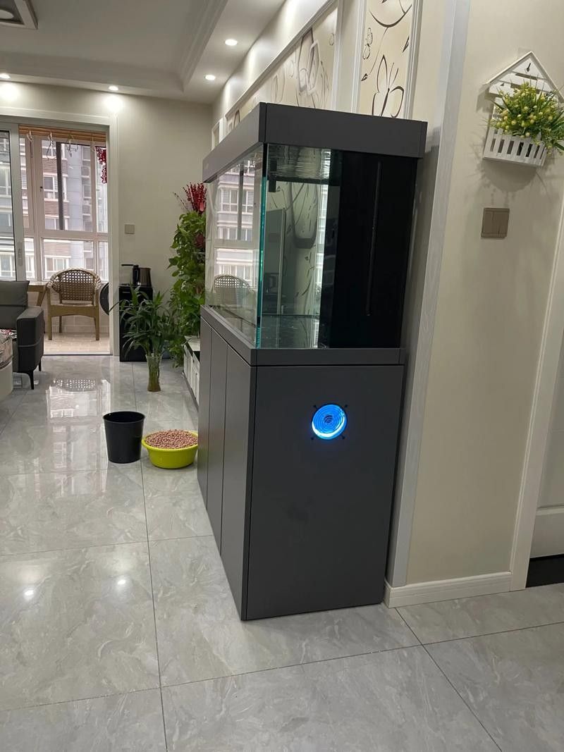 龍魚缸擺放位置圖解 龍魚缸擺放位置圖解 龍魚百科 第16張