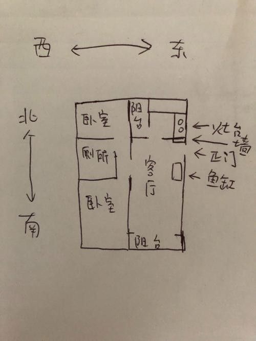 龍魚缸擺放位置圖解 龍魚缸擺放位置圖解 龍魚百科 第17張