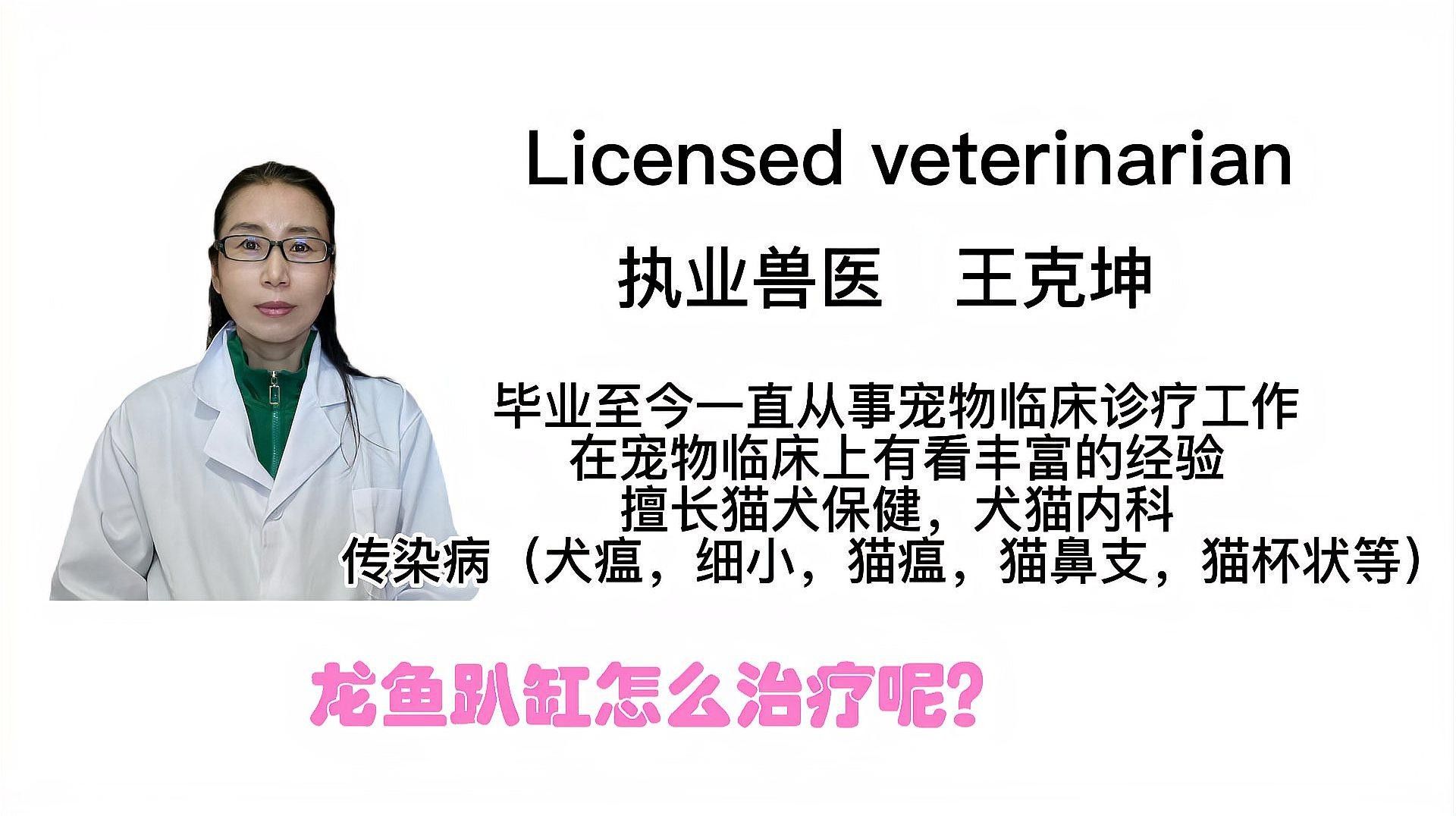 龍魚趴缸怎么治療