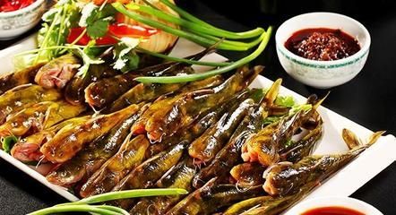 自家養(yǎng)的龍魚能吃嗎怎么喂：自家養(yǎng)的龍魚能吃嗎？探討龍魚的食用價值與養(yǎng)殖意義