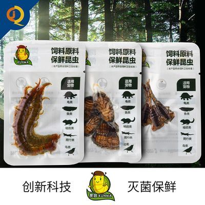 龍魚喂什么昆蟲吃飼料：喂食龍魚時，考慮到龍魚的營養需求和消化能力 龍魚喂什么昆蟲吃飼料：喂食龍魚時，考慮到龍魚的營養需求和消化能力 龍魚百科 第2張