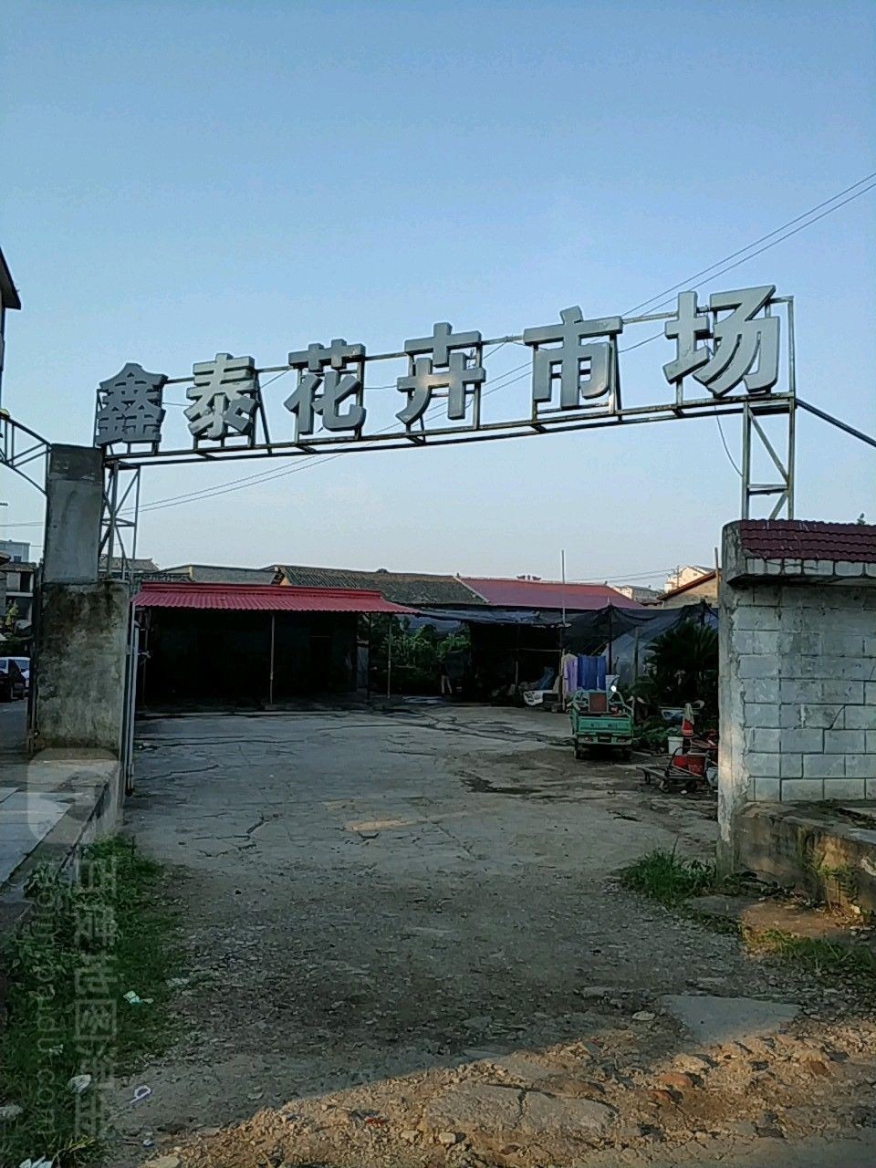 吉安龍魚苗批發市場在哪里