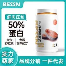 銀龍魚最便宜的多少錢