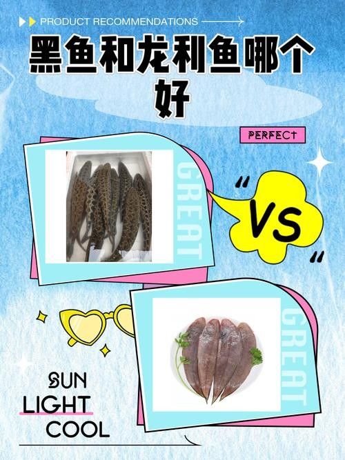 黑魚與金龍魚能混養嗎圖片對比