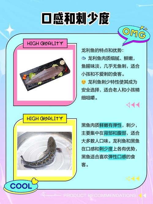 黑魚與金龍魚能混養嗎圖片對比